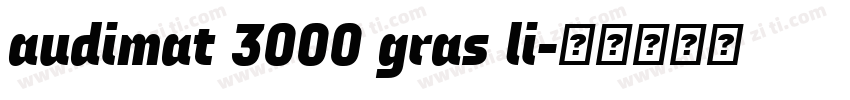 audimat 3000 gras li字体转换